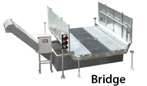 Bridge
