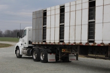 truck-with-chicken-cages
